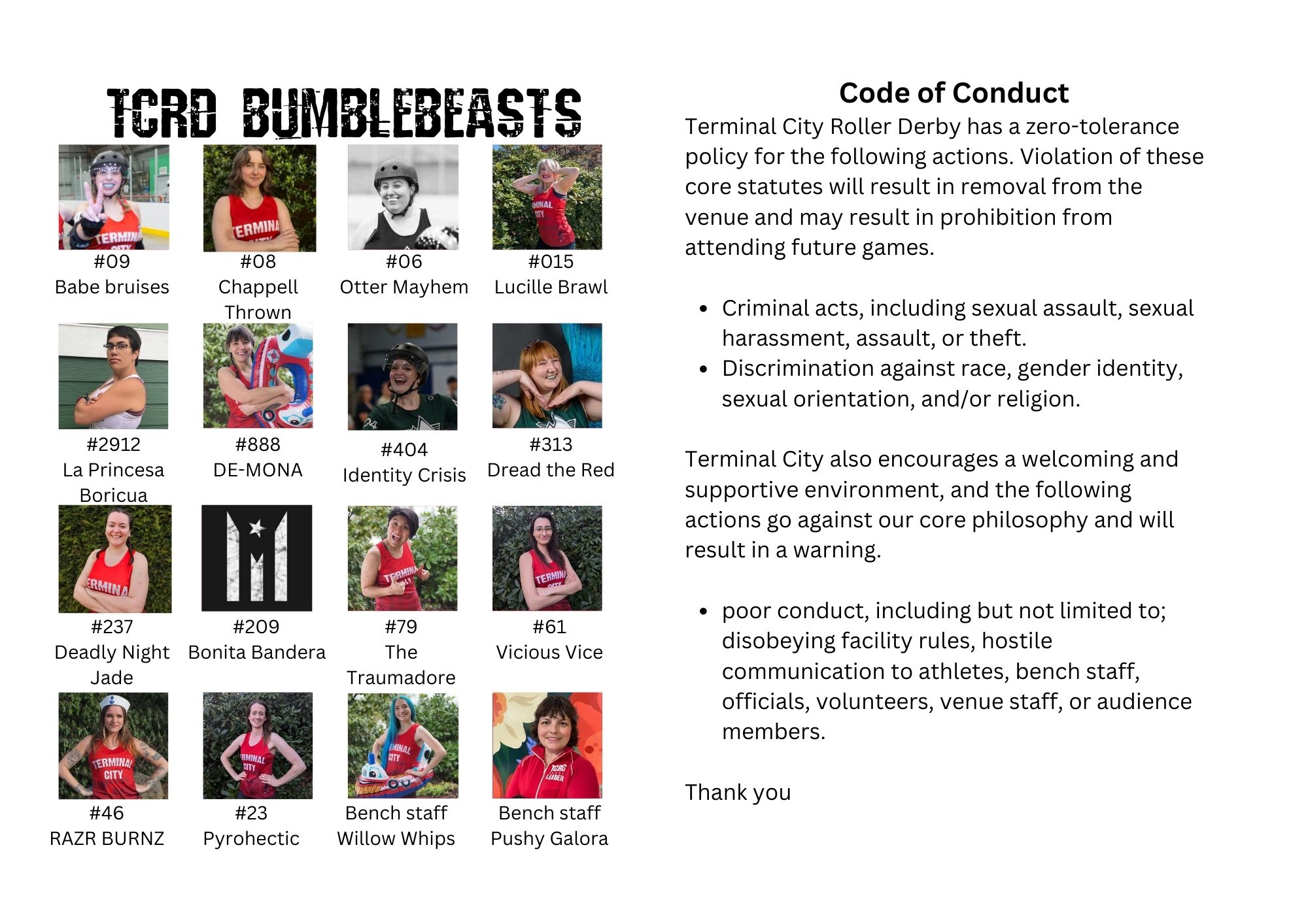 Bumble Beasts team and TCRD code of conduct
